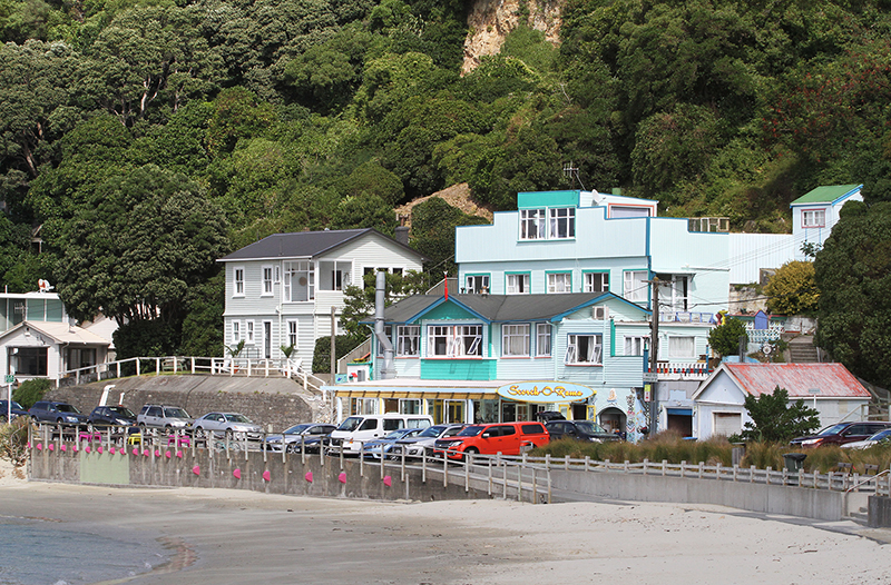 Street Scenes : Wellington : New Zealand : Richard Moore : Journalist : Photographer :